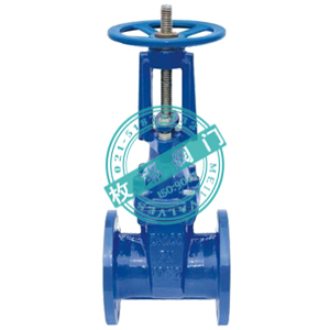 軟密封明桿彈性座封閘閥Z41X/RRHX 上海枚耶閥門(mén)的品質(zhì)之選
